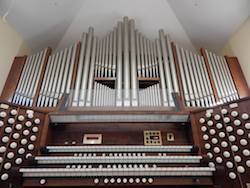 small picture of organ